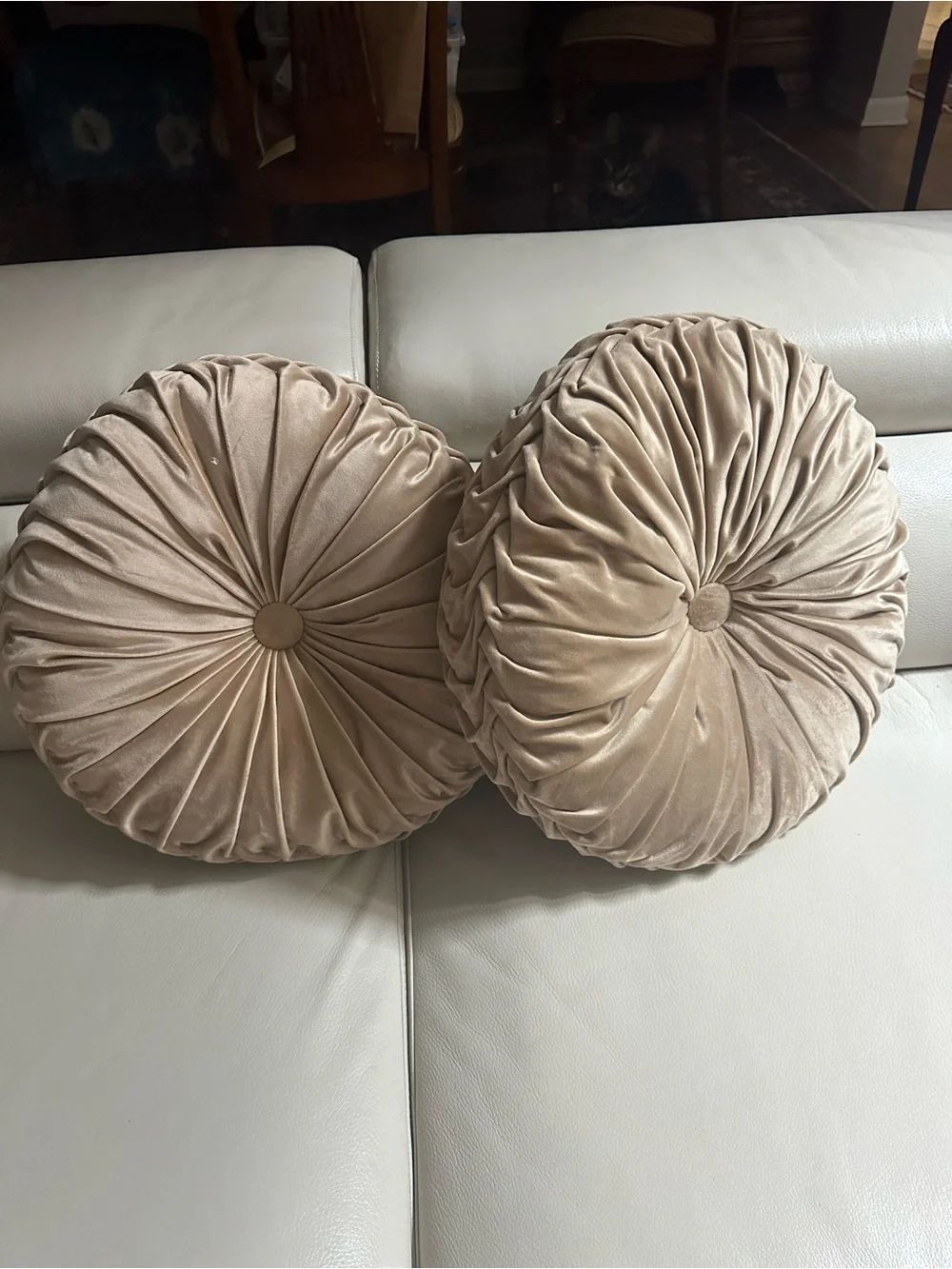 Round Velvet Throw Pillows - Taupe